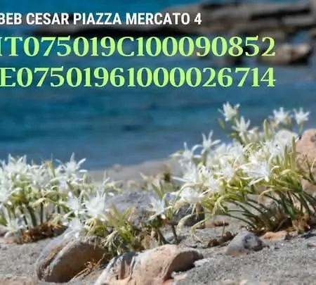 Bed and breakfast Cesar