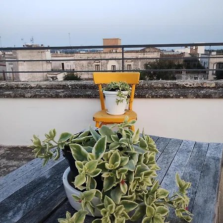 Cesar Castrignano del Capo