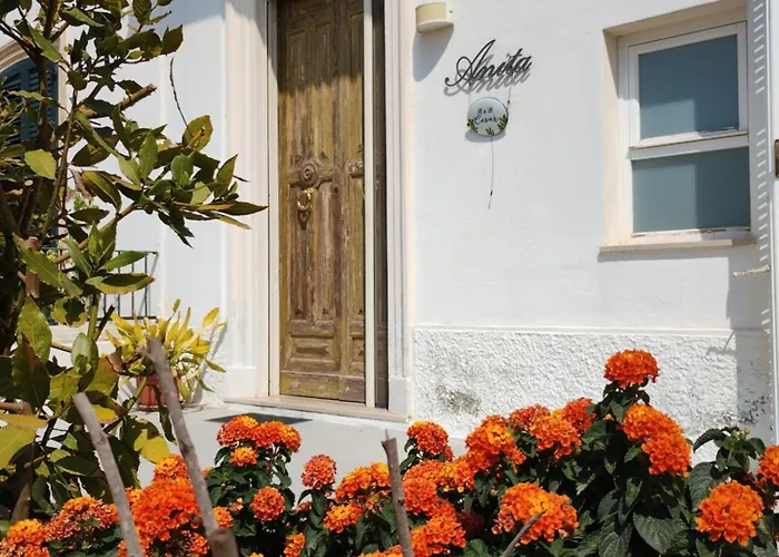 Cesar Bed and Breakfast