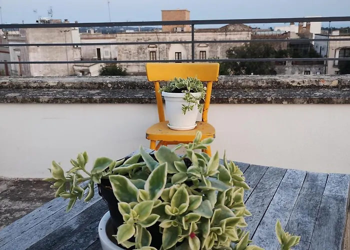 Cesar Castrignano del Capo