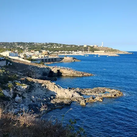 Cesar Couette-café 3*