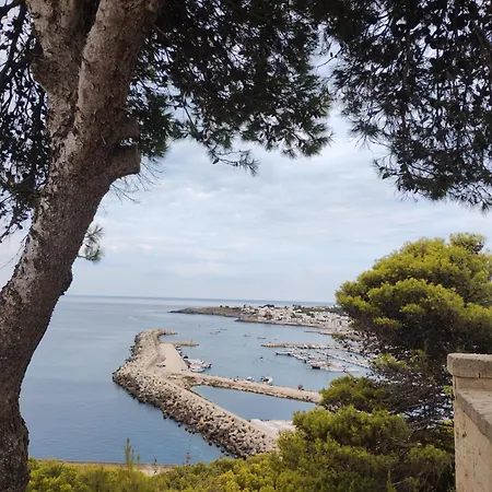 Cesar Couette-café Castrignano del Capo