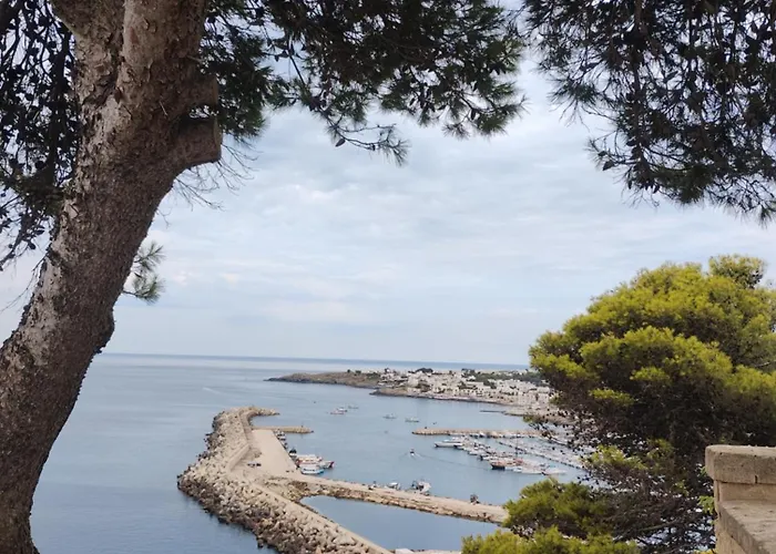 Cesar Panzió Castrignano del Capo